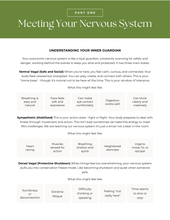 Load image into Gallery viewer, Nervous System Reset Workbook