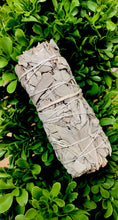 Load image into Gallery viewer, California White Sage